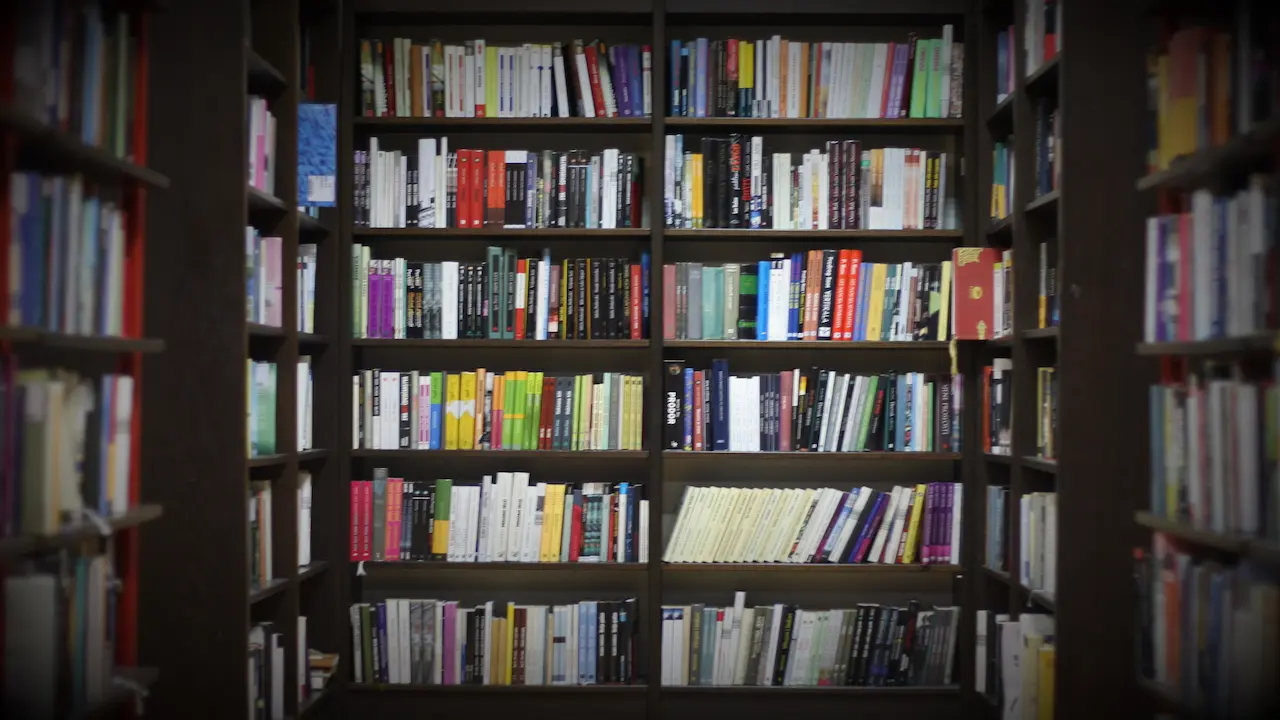 livros em uma estante